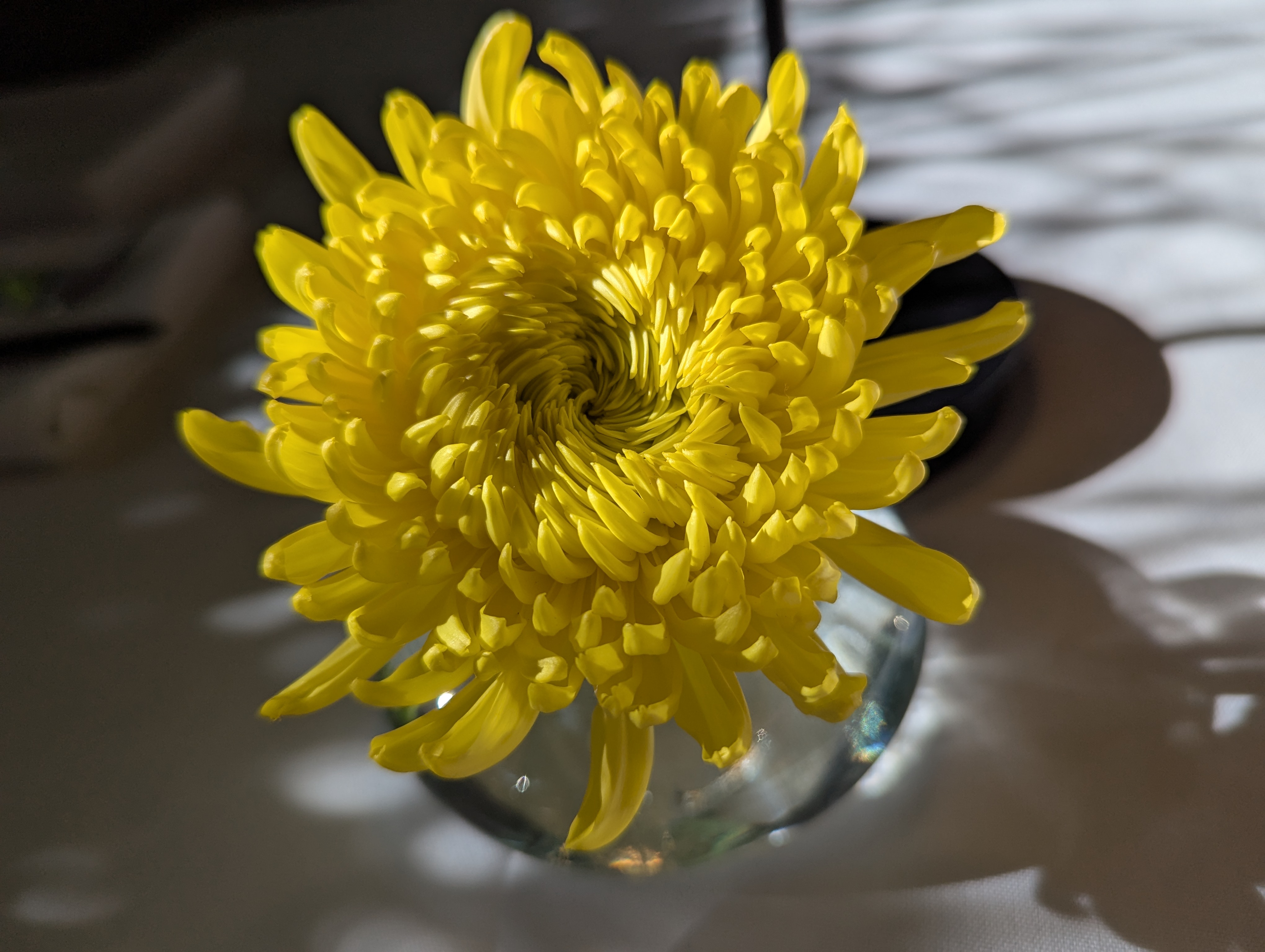 Birthday Trip to Canada, Victoria, Vancouver Island, British Columbia